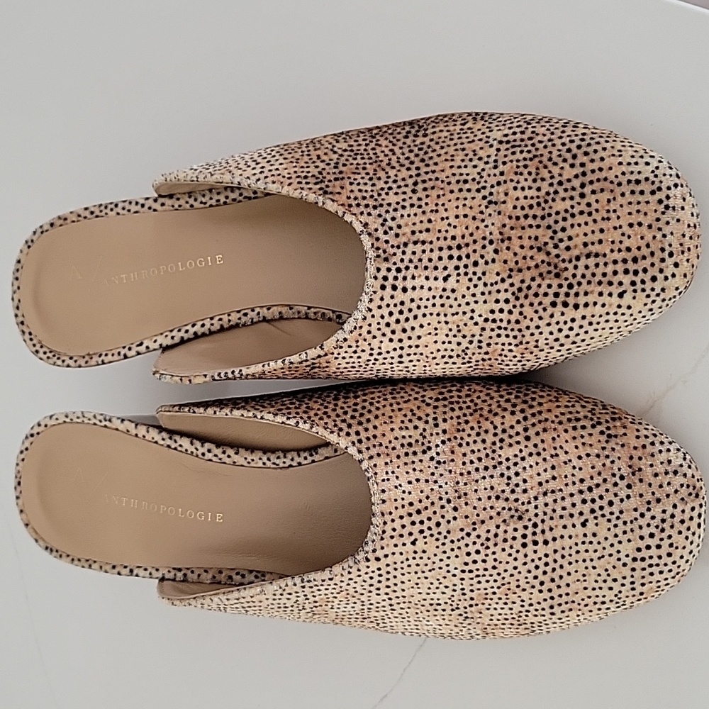 Slides / Mules